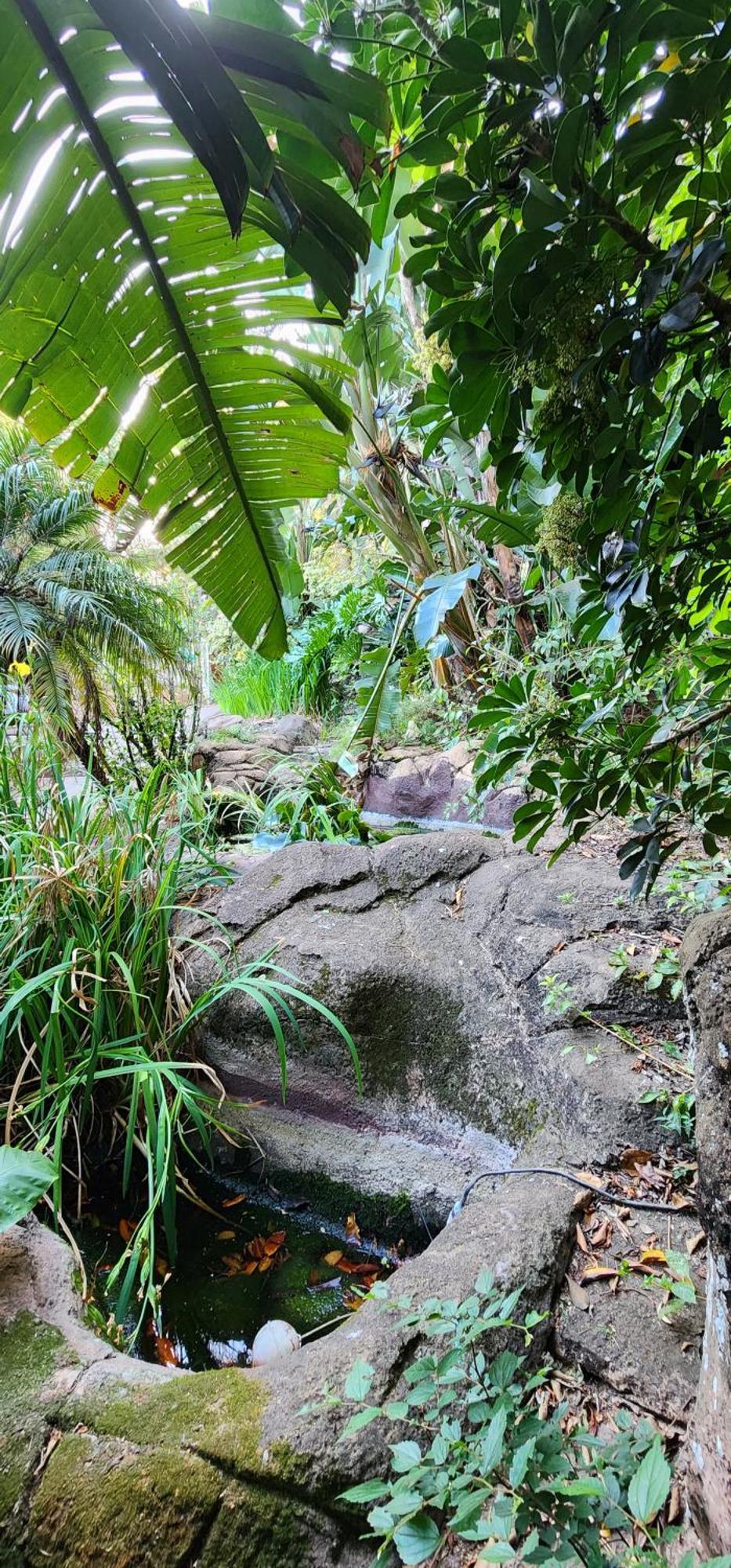 Bali At Scenic Haven Lodge In Hartbeespoort Esterno foto